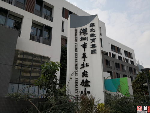 罗湖翠北实验小学怎么样