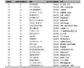 美国牛市启示 长尾的力量 