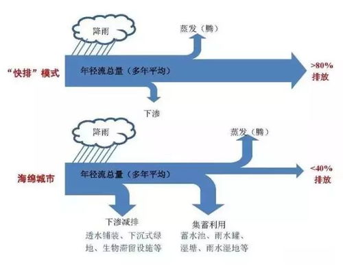 海绵城市怎么做 多图教你看懂市政排水工程海绵化改造