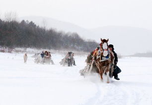 9月的漠河已经下雪了,白雪皑皑的世界等你来