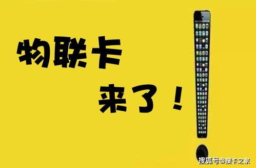 知识普及 物联卡测试期最长有多少 关于物联卡测试期你知道多少