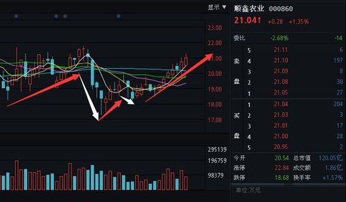 请问顺鑫农业今天会有怎样的走势，及后市如何操作？