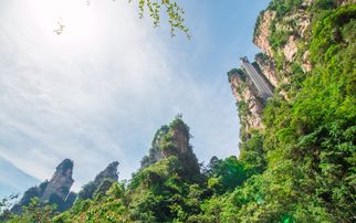 夏天来张家界旅游注意事项及行程报价 