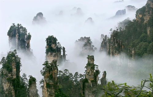 中国的著名景点 (中国十大名胜风景区)