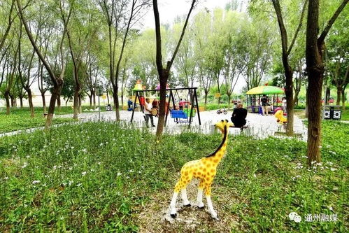 喜讯 西集镇获评北京森林康养旅游示范基地