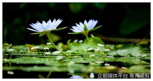 周1开始,四大星座鸿运当头照,财运翻倍,风调雨顺