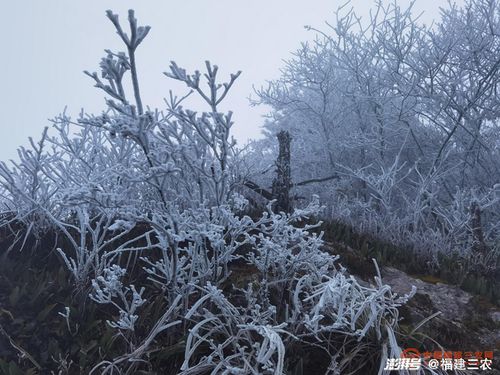 南平顺昌 宝山迎来新年首场大雪