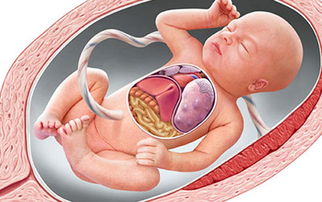 原创准妈妈必知：当胎宝宝在肚子里缺氧时，就会发出这样的信号！