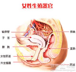 怎么能确定是外阴白斑