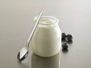配方奶做酸奶(配方奶粉可以做酸奶吗)