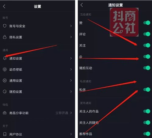 抖音群消息提醒怎么关闭不了如何关闭抖音群聊消息提醒功能