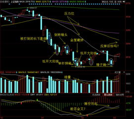 为什么个人在交易所买卖上市公司股票免交个人所得税，而企业在交易所买卖上市公司股票则需要交企业所得税呢