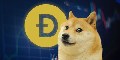 ңDogecoin20244չг