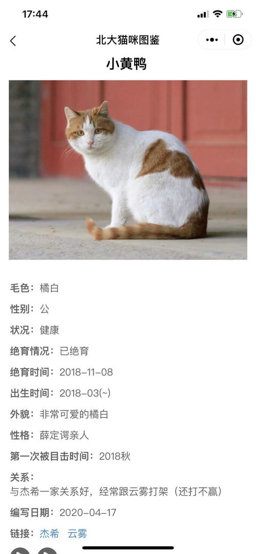 小馋猫造句_用真是造句？