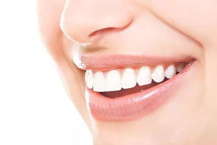 每天用牙线多活6.4年 UPcrea牙线棒 新品促销 击穿底价