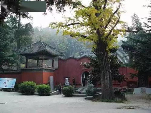 中原文化之人文景观 南阳菩提寺