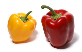 辣椒有多少品种
