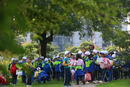 学生旅游能够(旅行对于学生有何意义)