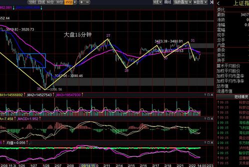 2022年5月23日分红的股票有哪些？