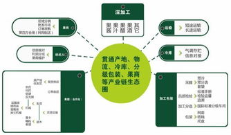 农业供应链一体化方案模板(农业供应链管理)