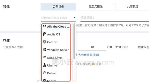 阿里云服务器操作系统 镜像 选择方法(阿里云服务器购买windows)