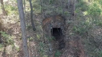 买房送金矿 布里斯班男子竟在自家后院发现金矿入口 