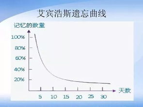 知识遗忘的规律