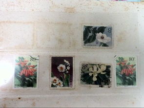 这些邮票陪伴我三十五年了,有人懂得这部分邮票有什么价值的 