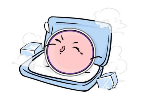 试管婴儿冷冻胚胎解冻后移植过程是怎样的呢 