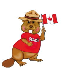 加拿大的动物国宝,加拿大的动物国宝英语