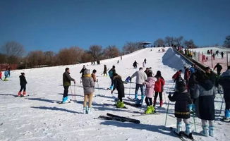 冬季到河北来滑雪 期待在这些雪场遇见你