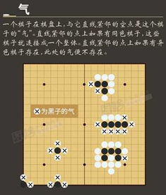 围棋*谁最多呢图片大全,围棋*排行榜