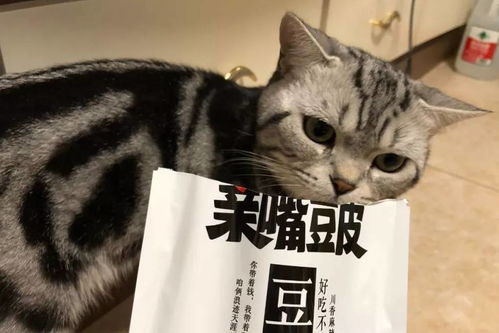 猫咪最讨厌的6种味道,一闻到就想跑