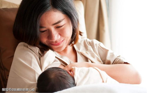 吃奶粉的宝宝长得胖,吃母乳的长得瘦 婴儿奶粉难道比母乳还好