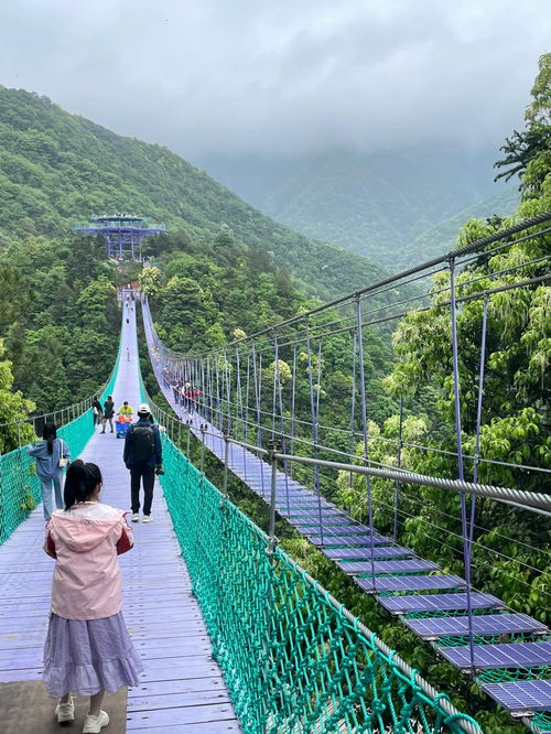 杭州周边小众旅游攻略 桐庐天子地 