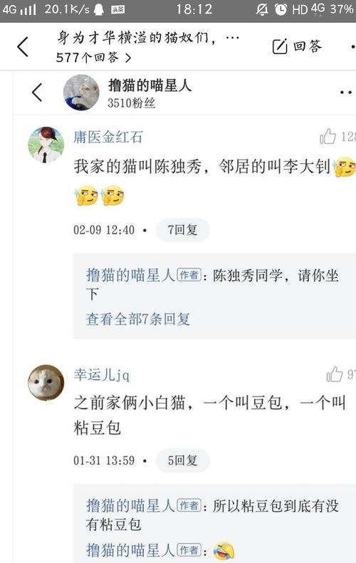 才华横溢的你们曾给猫咪起了些什么名 看到他们的我拍案叫绝