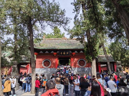 嵩山旅游攻略(少林寺景区停车场收费标准)