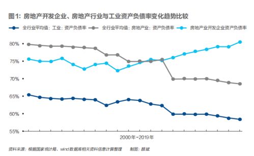 一季负债率13%，半年负债12%，这个公司是否大有发展