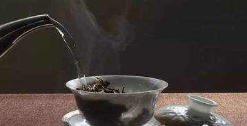 洗茶真的不科学 实验数据告诉你