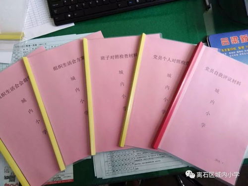 城内小学党支部6月份主题党日活动 三举措 加快党建材料整理归档 