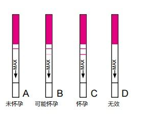 试纸 尿检或抽血验孕 最早在孕5周就能测出来