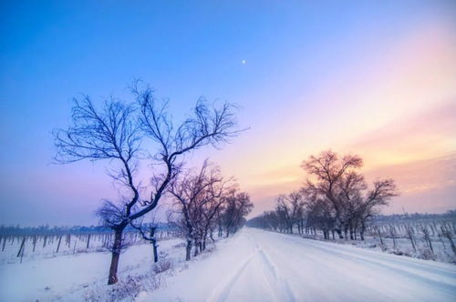 他爱不爱你,下场雪就知道了