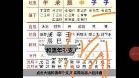 八字案列