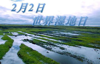 世界湿地日2023,2023世界湿地日：走进贵阳大美湿地