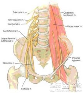 坐骨神经痛有有效的疗法吗