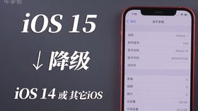 iPhone7P建不建议升级iOS12 看看它的续航表现吧