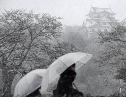 关于日本多地持续大雪 气温降至入冬最低事件的介绍 