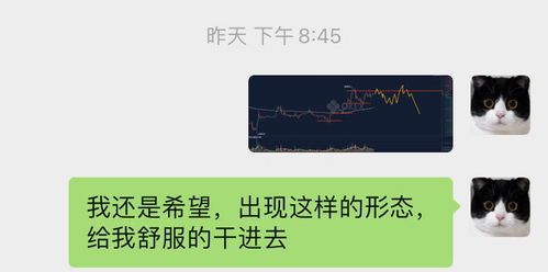 比特币永续合约有带单群吗