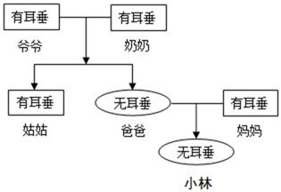 2018年,有研究报道基因编辑女婴 露露 和 娜娜 出生 基因编辑的原理是通 过去除位于受精卵3号常染色体上的CCR5基因,拟达到防止艾滋病病毒入侵的目的 实际上这个基因对人体其他系统也有影响 