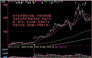 炒股为什么是暴赚暴亏？它的跌涨率最大也就3%左右，买一万的股票才赚300吗？想不明白啊？ 求高手相助呀！